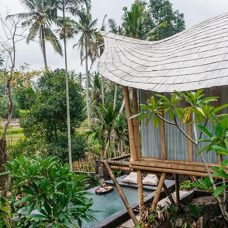Wadari Retreat Villa Ubud Ngoại thất bức ảnh