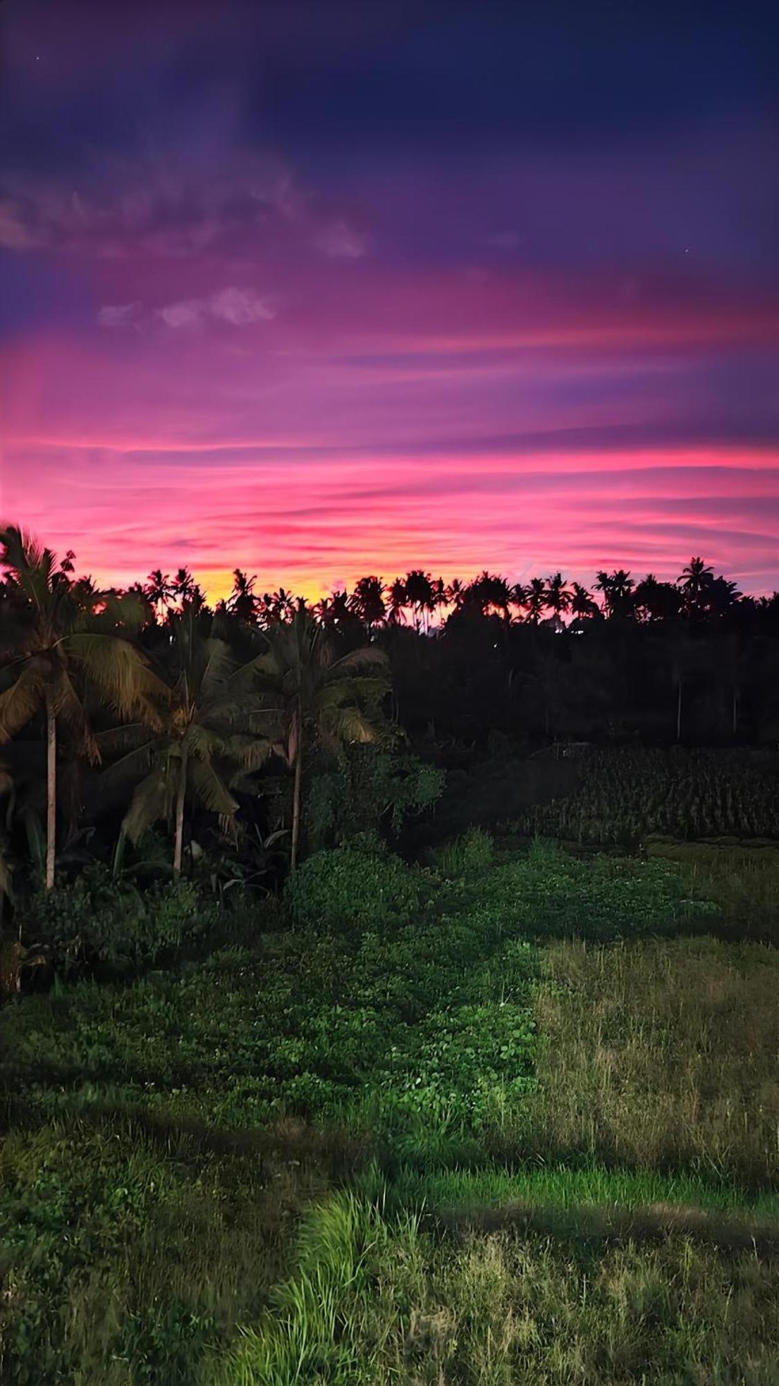 Wadari Retreat Villa Ubud Ngoại thất bức ảnh
